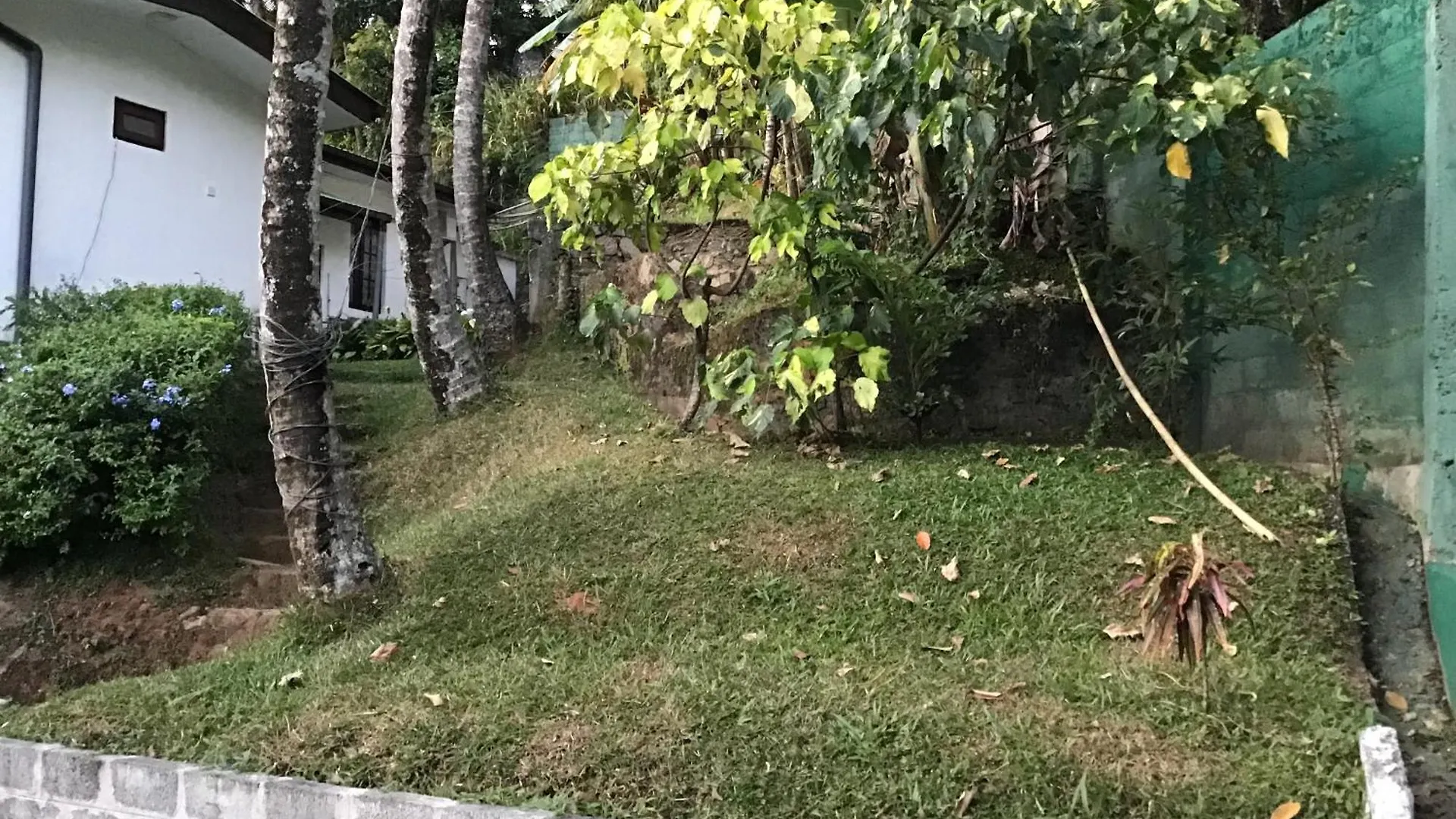 Lavender Hills Home Stay Kandy