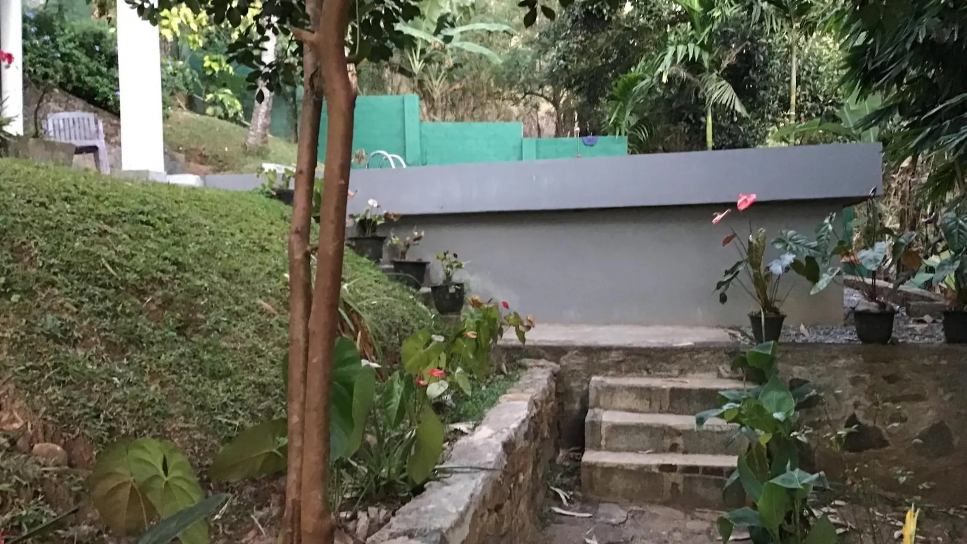 Lavender Hills Home Stay Kandy Alloggio in famiglia