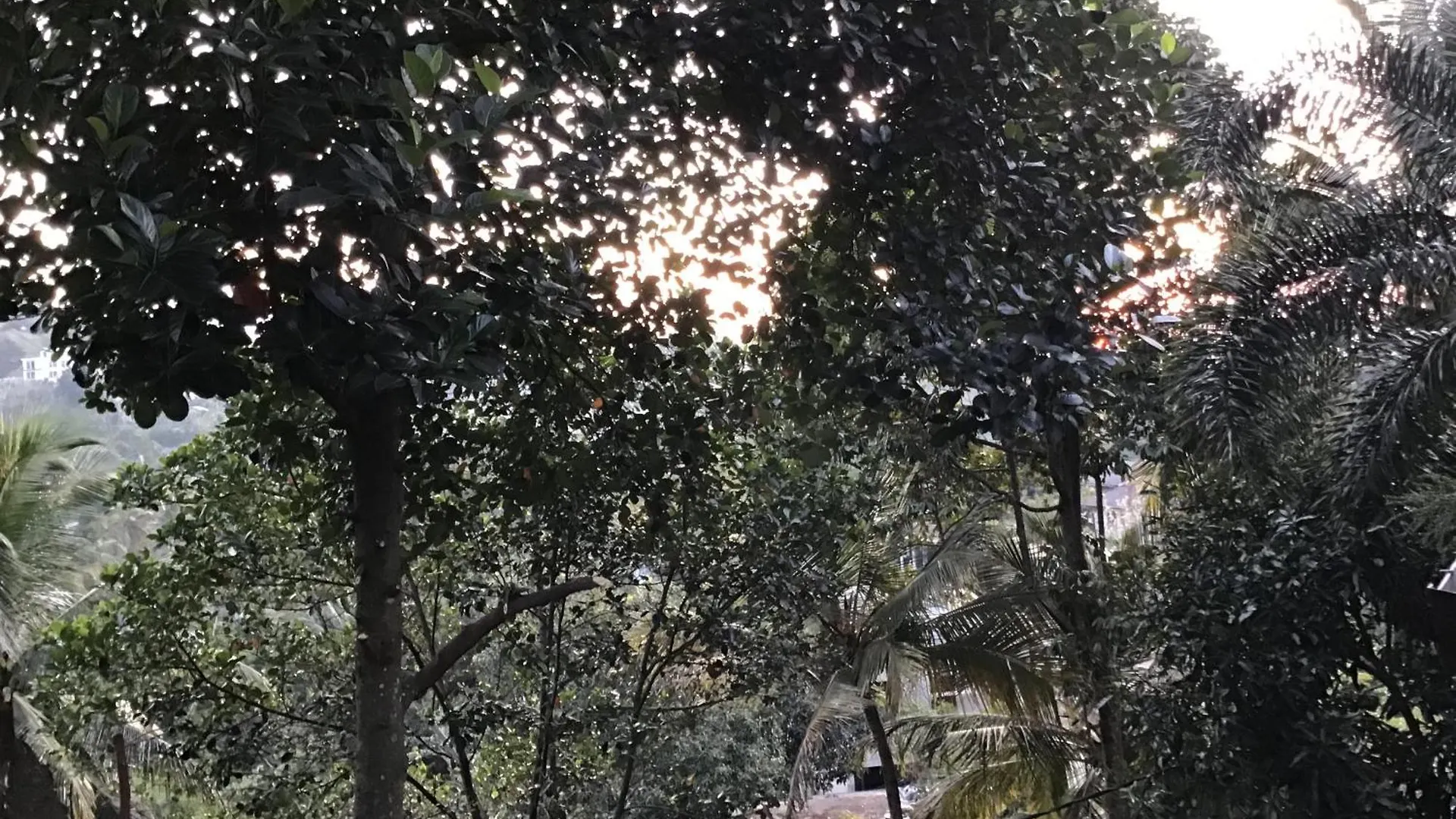 Alloggio in famiglia Lavender Hills Home Stay Kandy