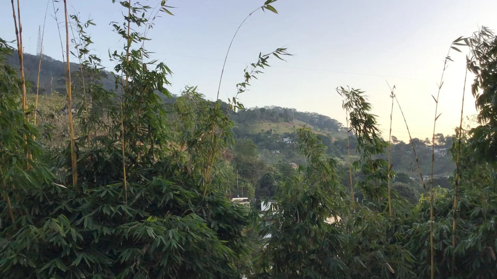 Lavender Hills Home Stay Kandy 0*,